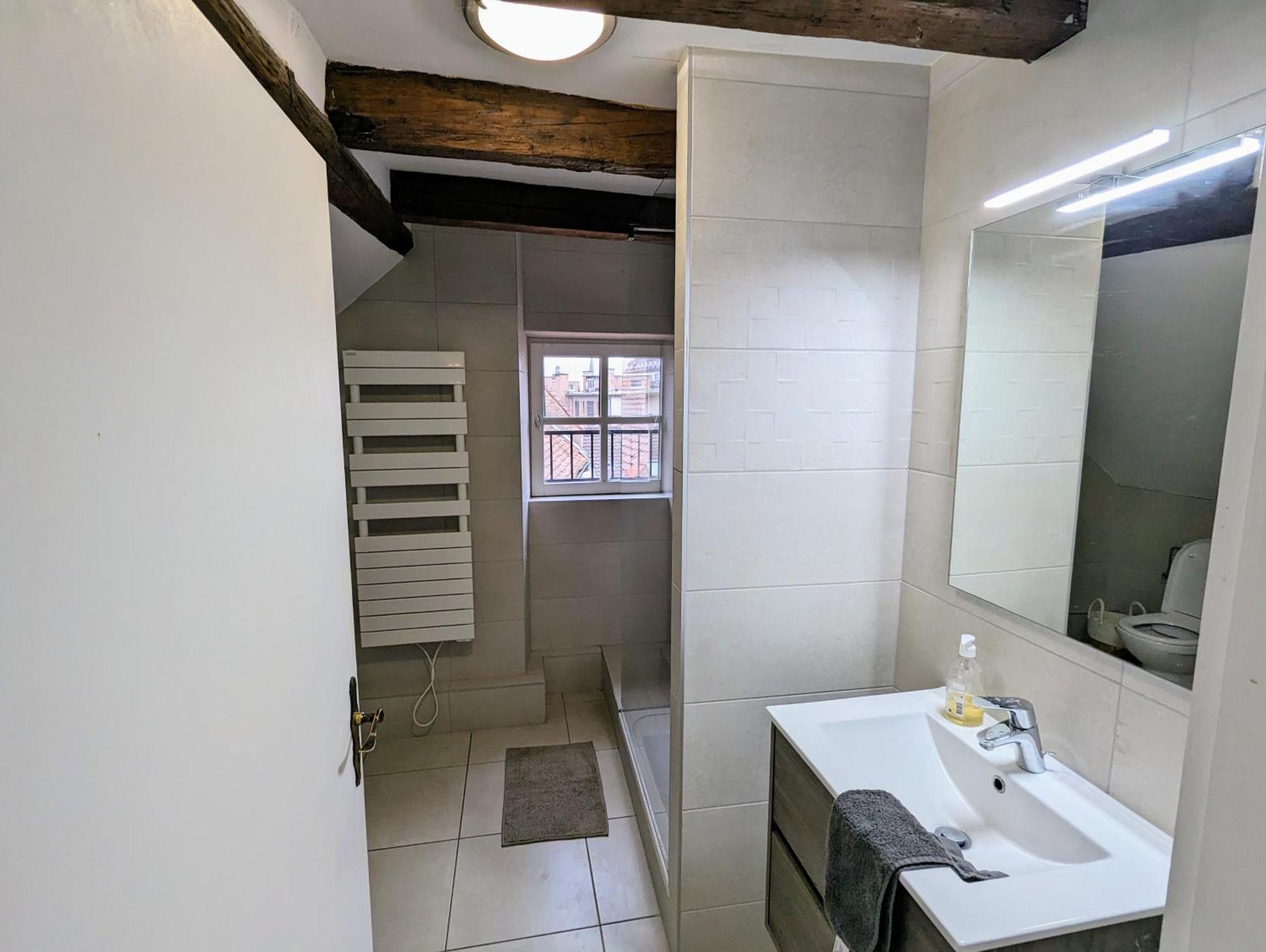 Appartement Des Serruriers สตราสบูร์ก ภายนอก รูปภาพ