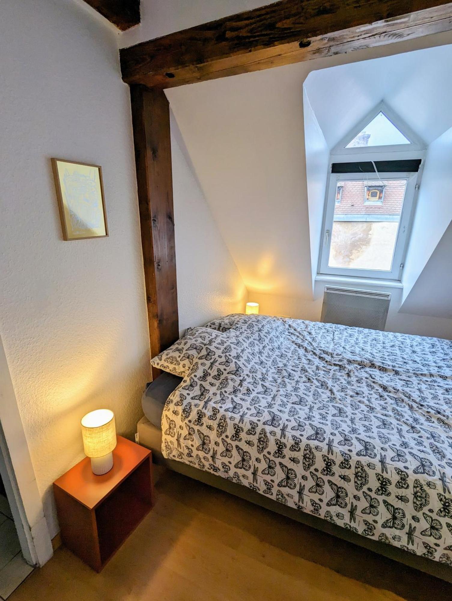 Appartement Des Serruriers สตราสบูร์ก ภายนอก รูปภาพ